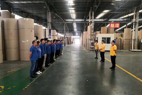 花園建材榮膺東陽(yáng)市中小企業(yè)市長(zhǎng)科技創(chuàng)新獎(jiǎng)，引領(lǐng)行業(yè)綠色轉(zhuǎn)型新篇章